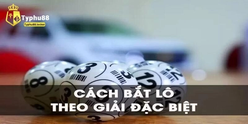 Những phương pháp hiệu quả khi bắt bạch thủ