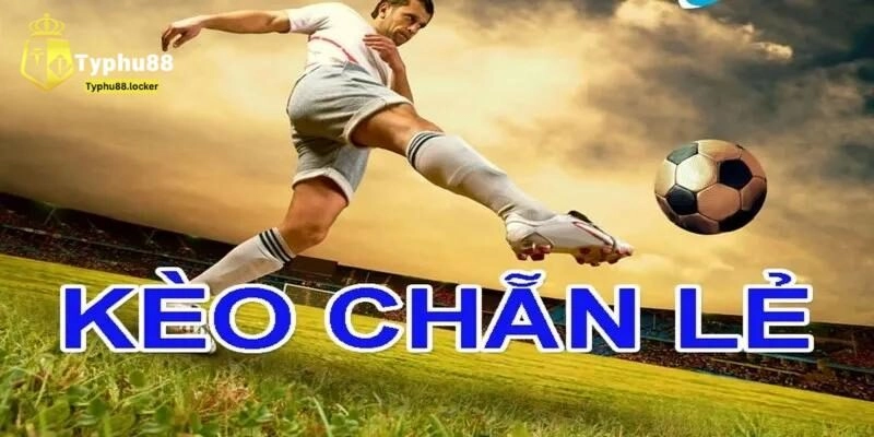 Điểm danh các cửa cược chẵn lẻ phổ biến tại typhu88