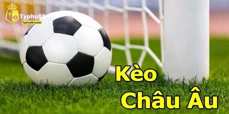 Cẩm nang đánh kèo châu âu hiệu quả cho tân binh