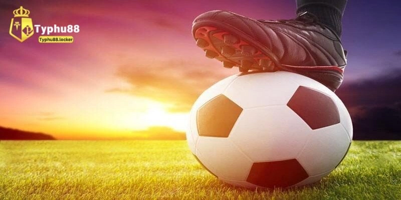 Kinh nghiệm cá cược bóng đá theo biến động tỷ lệ kèo